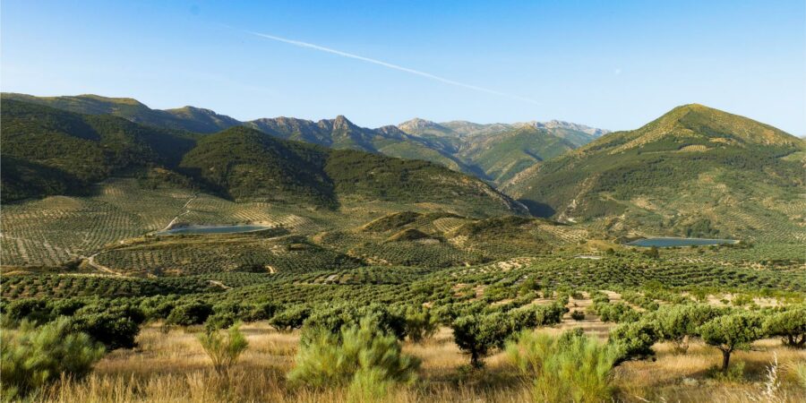 Jaen – Bedmar Reportage de La porte des mondes (LPDM Production - Angers) en Andalousie - Jaen