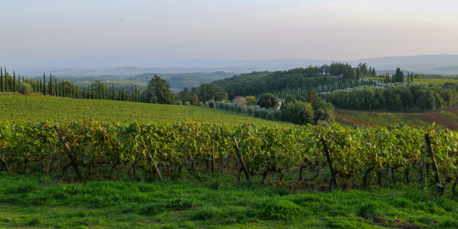 Chianti 3 - GigaPano