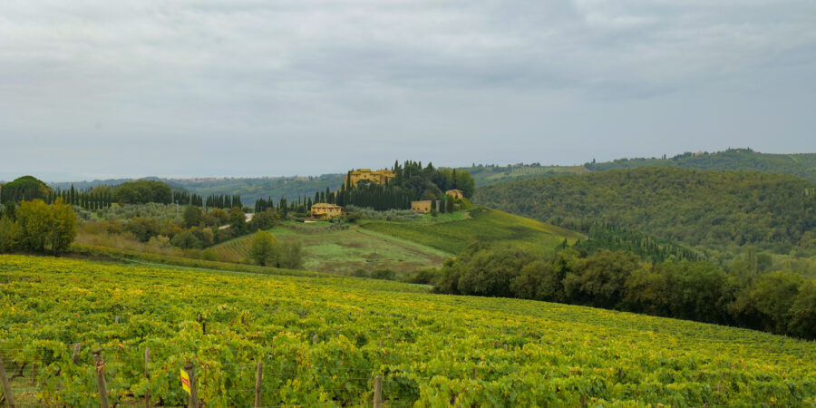 Chianti - Podere Corsignano -GigaPano