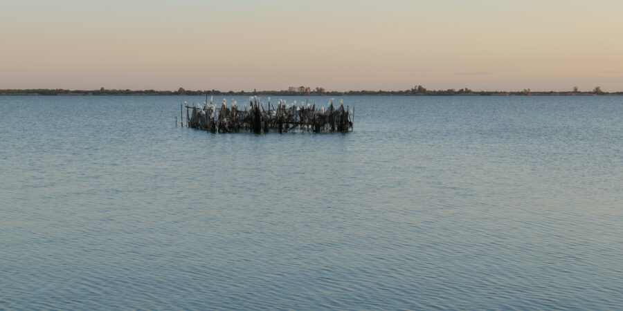 Lago de Lesina - video