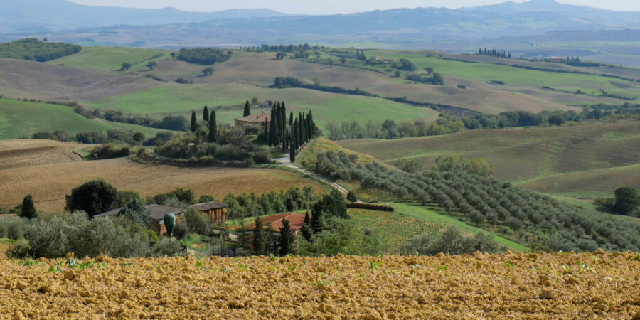 Val d'Orca - San Quirico d'Orcia -GigaPano