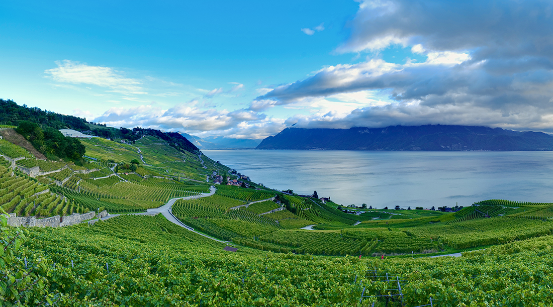 Paysage de vignobles lavaux suisse pour dégustation de vin immersive